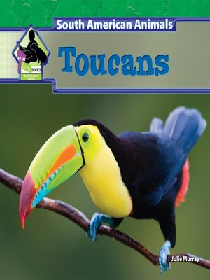 cover image of Toucans